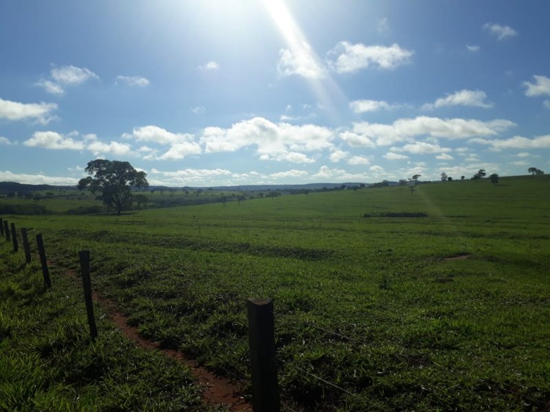 Fazenda à venda, 280m² - Foto 9