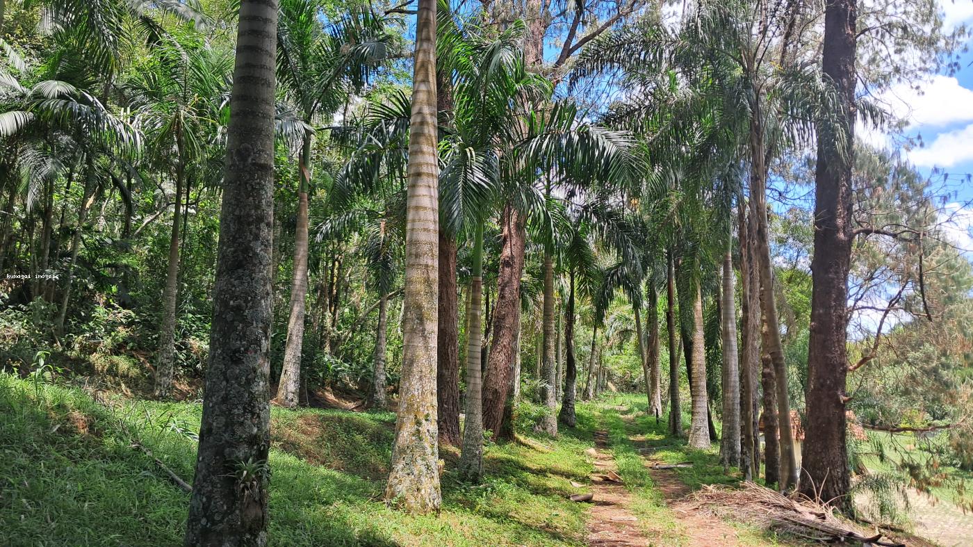 Fazenda à venda com 2 quartos, 10m² - Foto 13