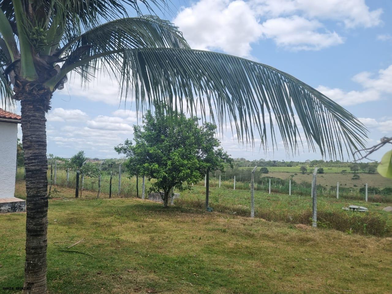 Fazenda à venda, 1000m² - Foto 53