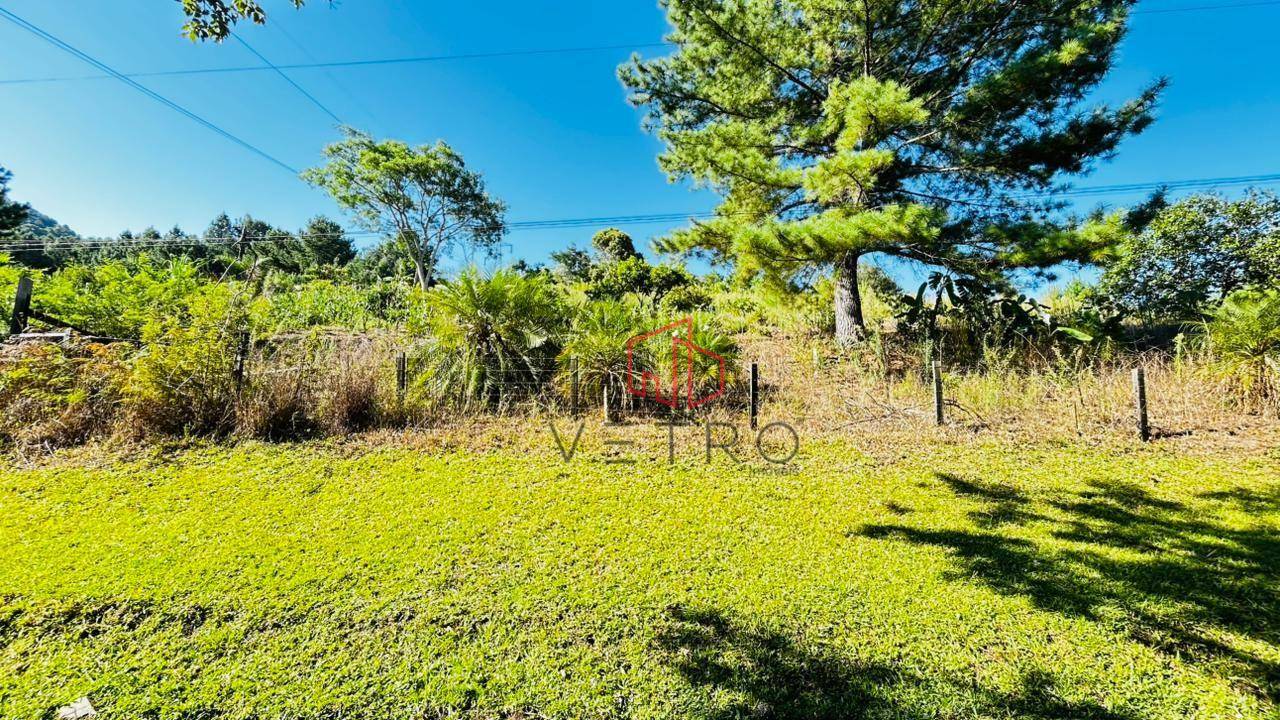 Sítio, 2 hectares - Foto 14