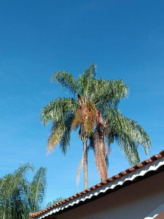 Sítio, 10 hectares - Foto 51