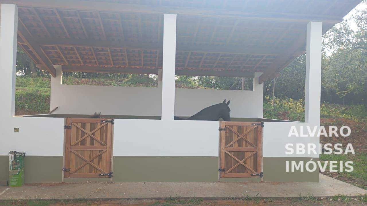 Haras e Área Rural Padrão à venda com 2 quartos, 65340M2 - Foto 10