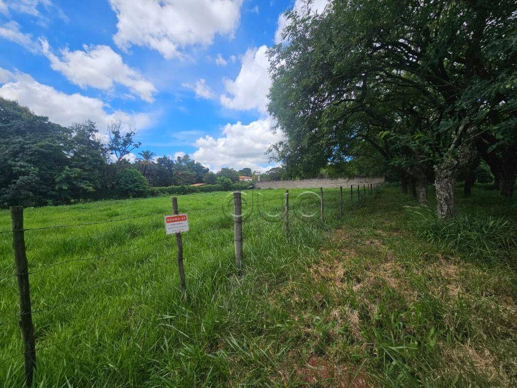 Terreno, 3245 m² - Foto 3