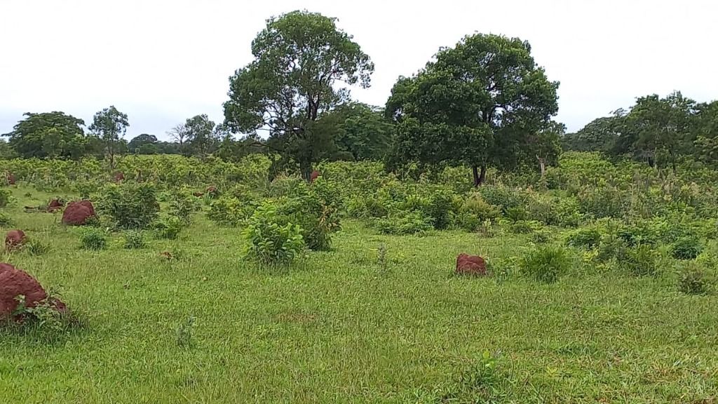 Fazenda à venda com 1 quarto, 4017200m² - Foto 14