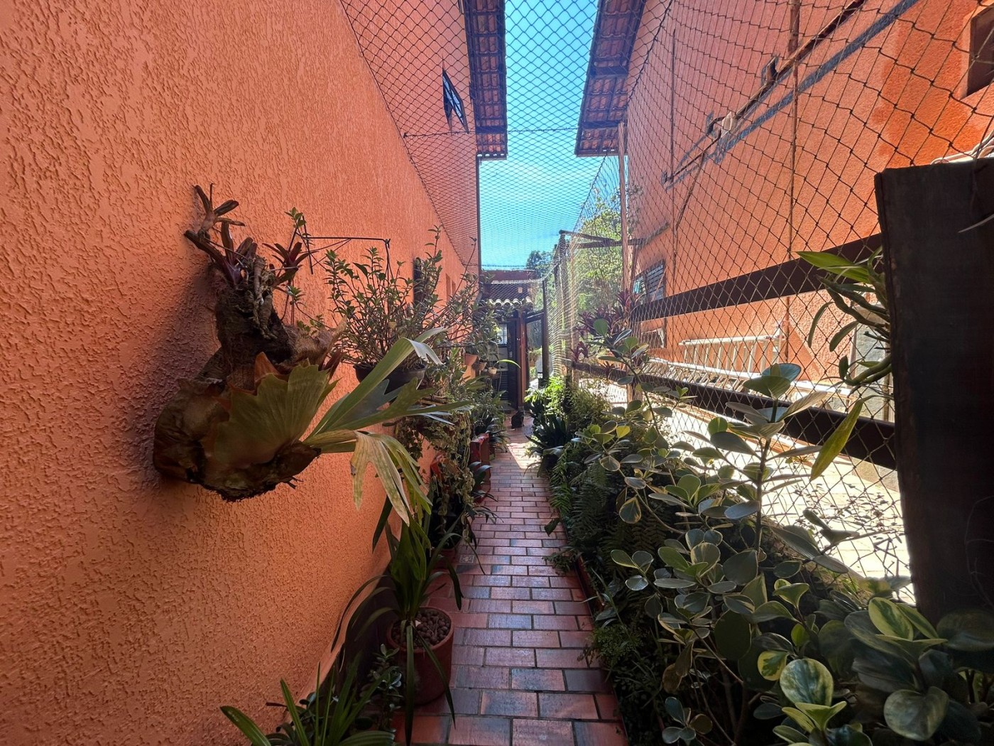 Casa de Condomínio à venda com 3 quartos, 100m² - Foto 2
