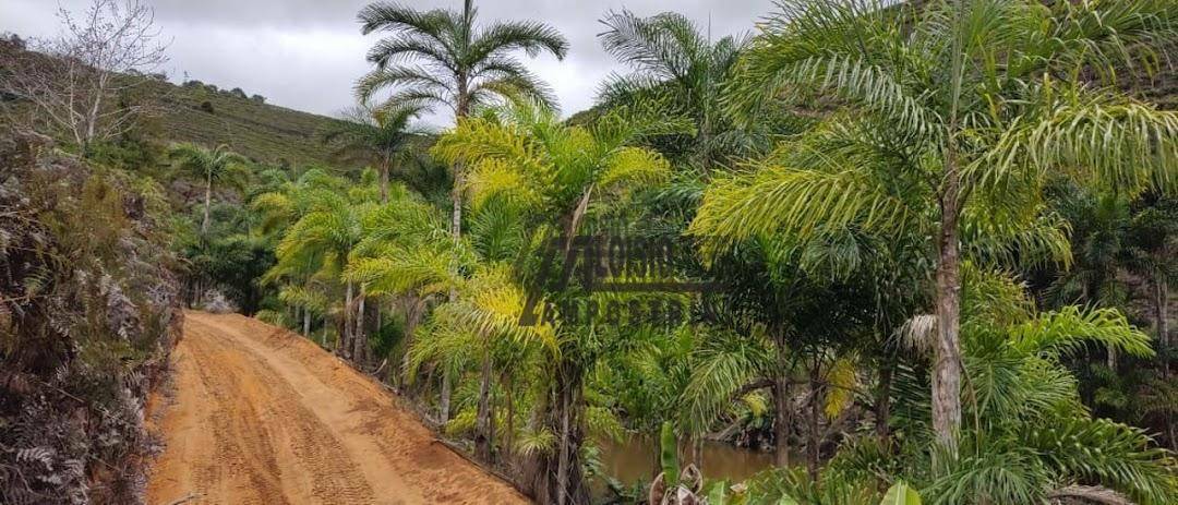 Fazenda à venda, 1452000M2 - Foto 6