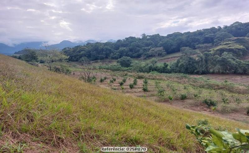 Fazenda à venda com 2 quartos, 170000m² - Foto 24