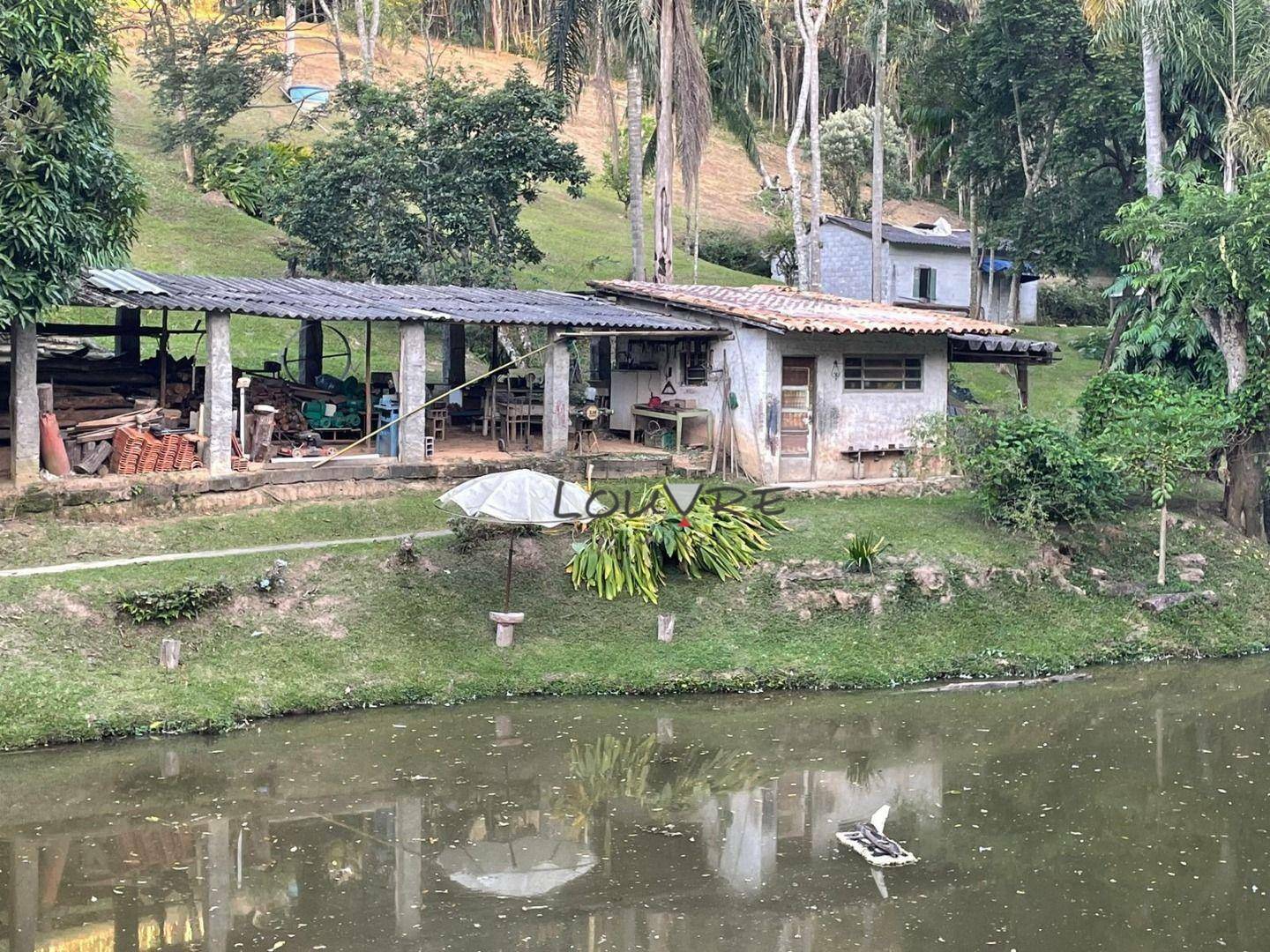 Sítio à venda com 3 quartos, 14000M2 - Foto 12