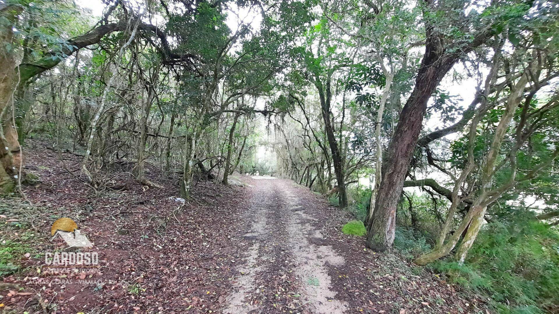 Fazenda à venda, 4620000M2 - Foto 12