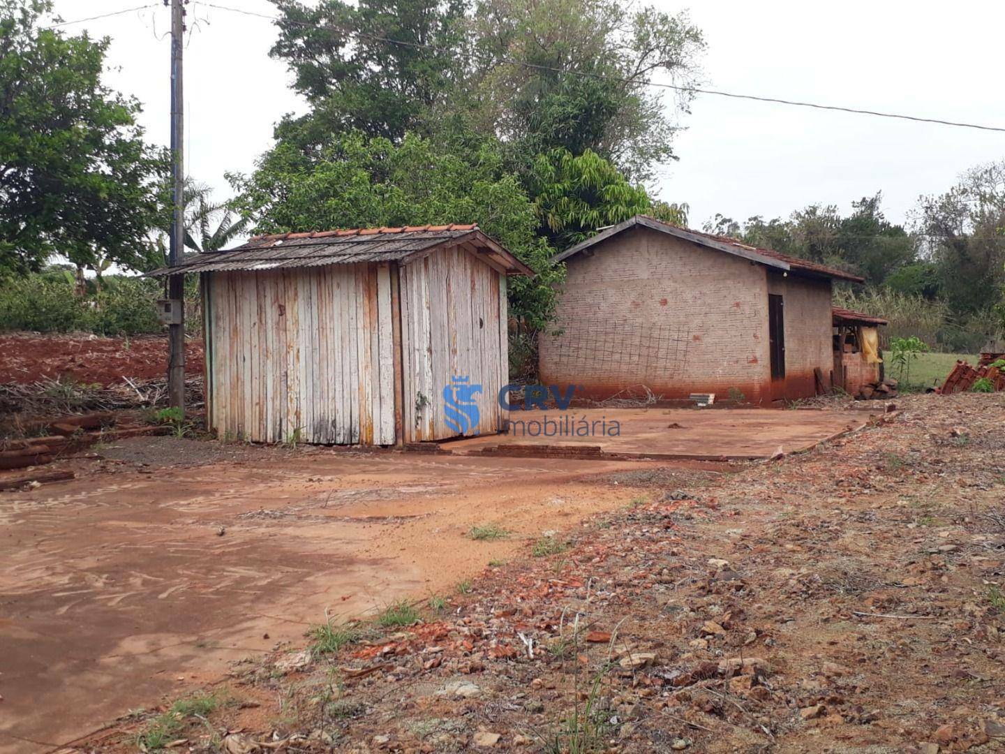 Chácara à venda com 3 quartos, 72600M2 - Foto 6