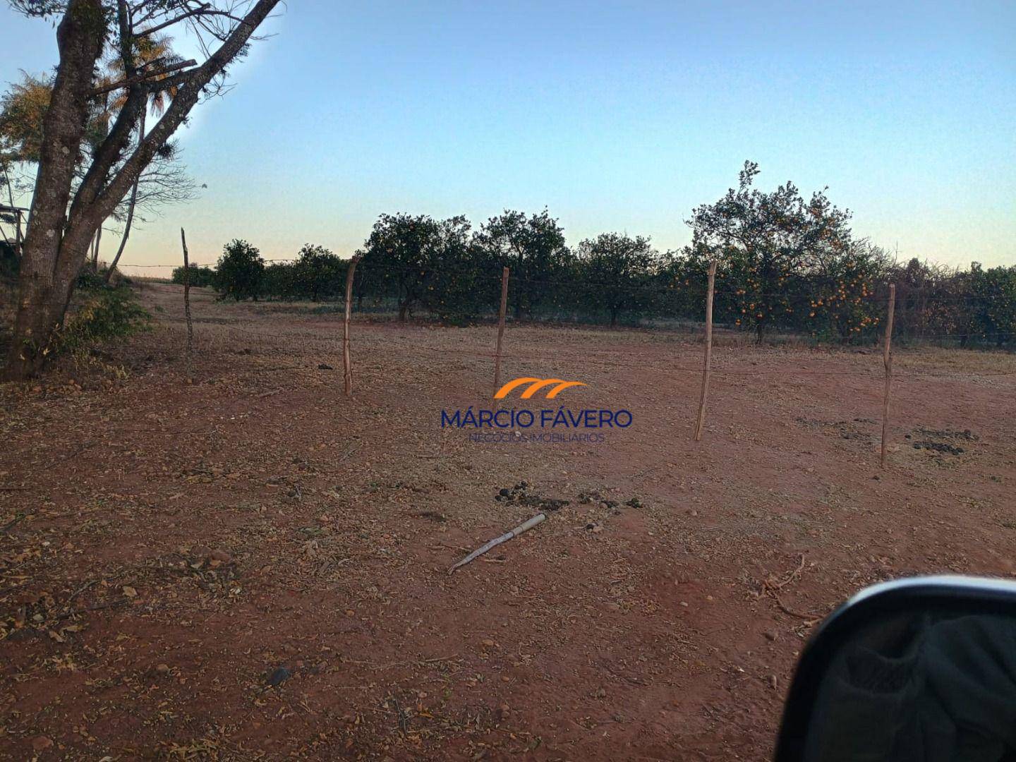 Sítio, 46 hectares - Foto 5