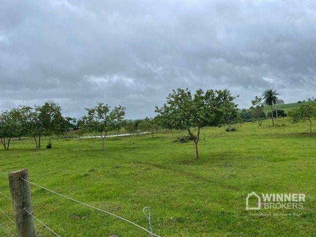 Chácara à venda, 24200M2 - Foto 4