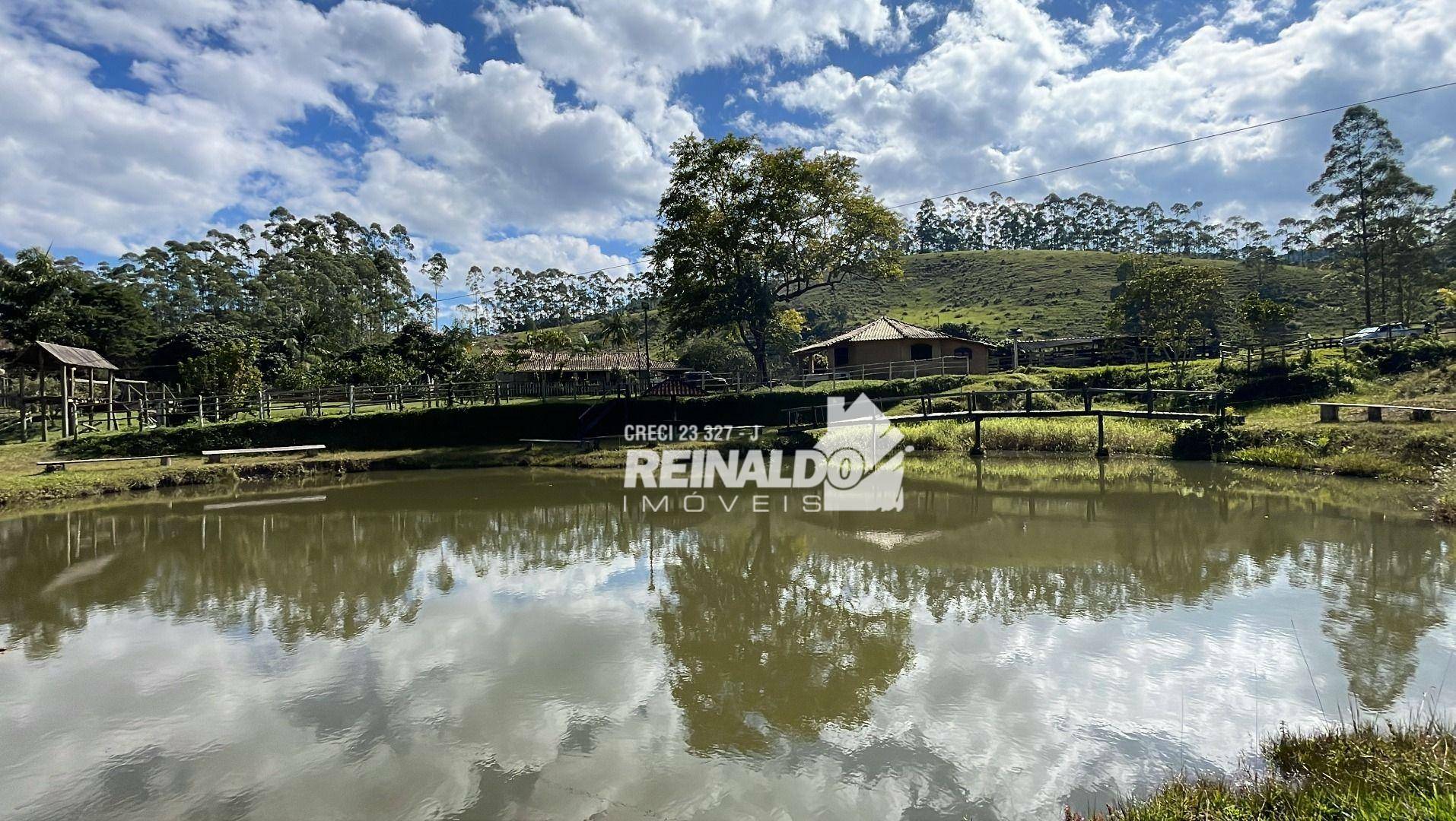 Fazenda à venda com 8 quartos, 900m² - Foto 1