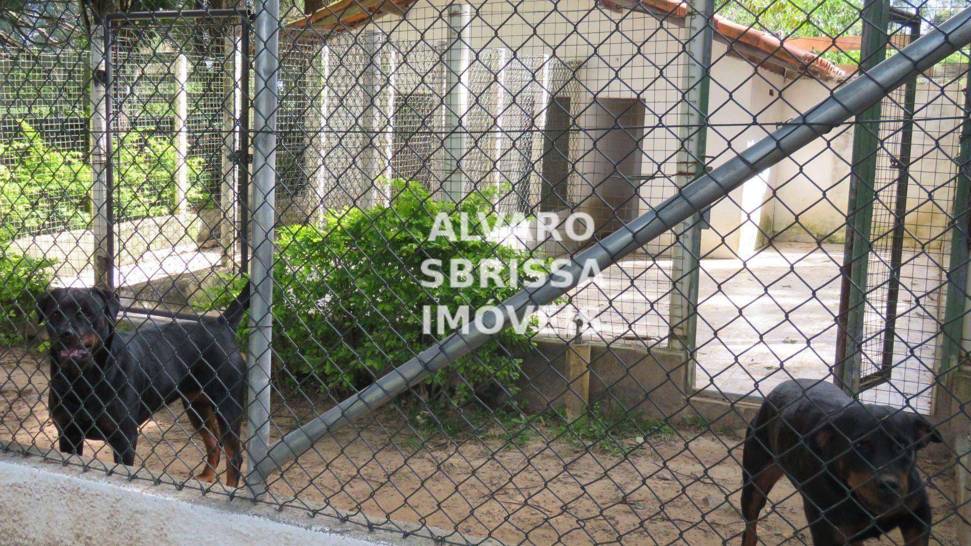 Sítio à venda e aluguel com 7 quartos, 1200m² - Foto 132