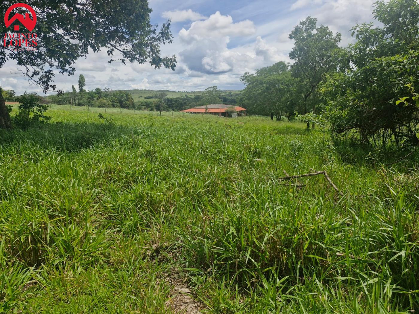 Fazenda à venda com 2 quartos, 120m² - Foto 38