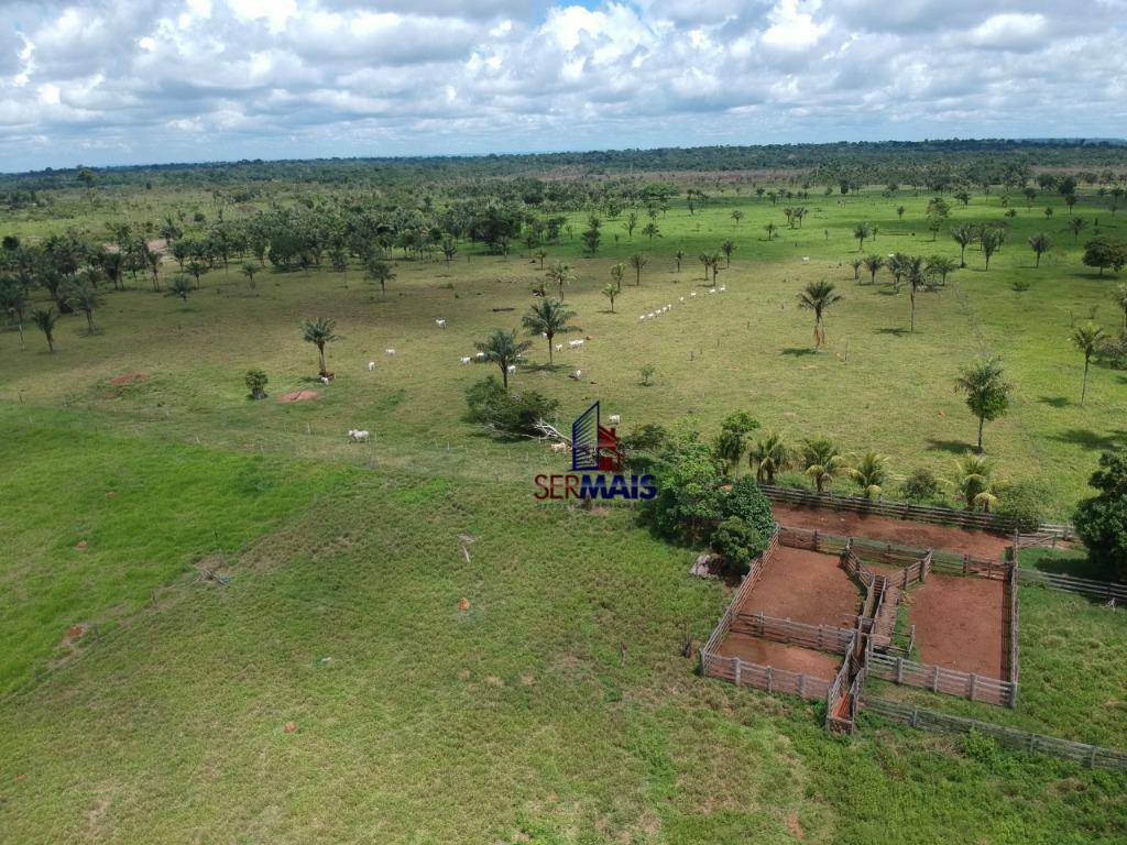 Fazenda à venda, 2783000M2 - Foto 8