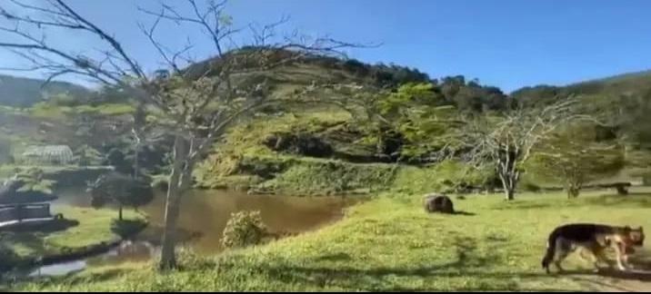 Fazenda à venda, 100m² - Foto 13