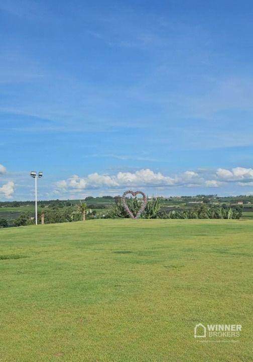 Haras e Área Rural Padrão à venda com 1 quarto, 2140m² - Foto 24