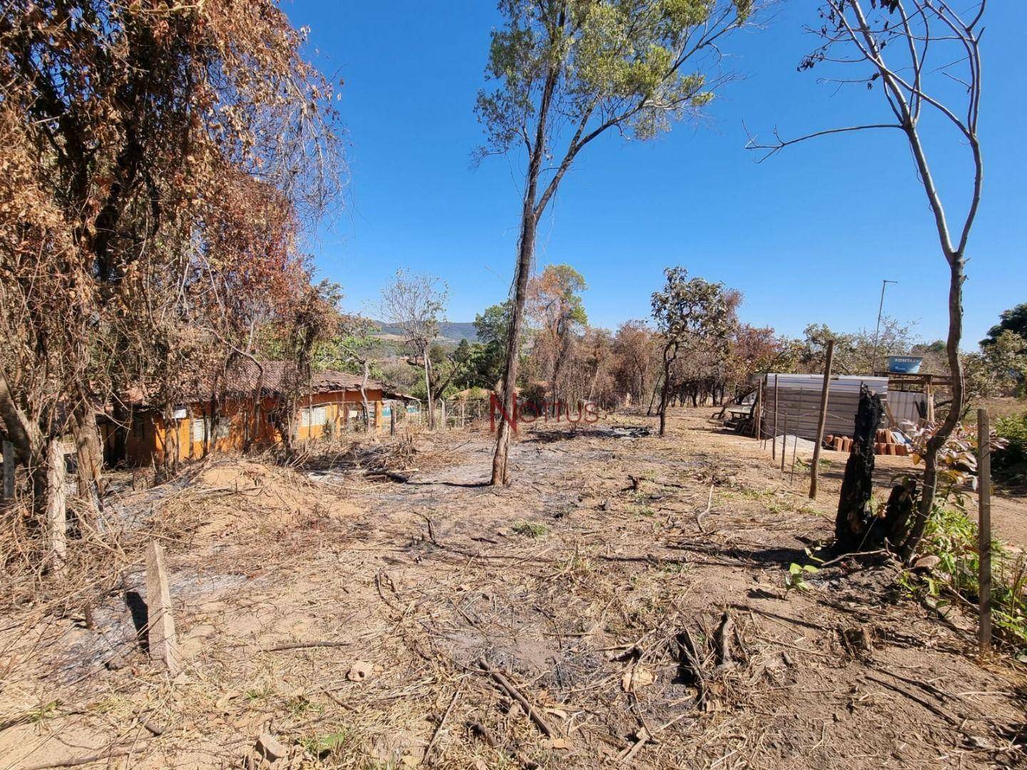 Terreno à venda, 1000M2 - Foto 2