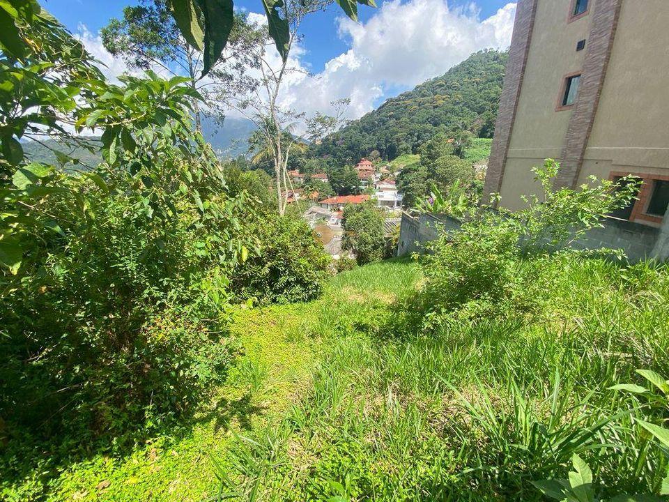 Terreno à venda com 1 quarto, 300m² - Foto 4