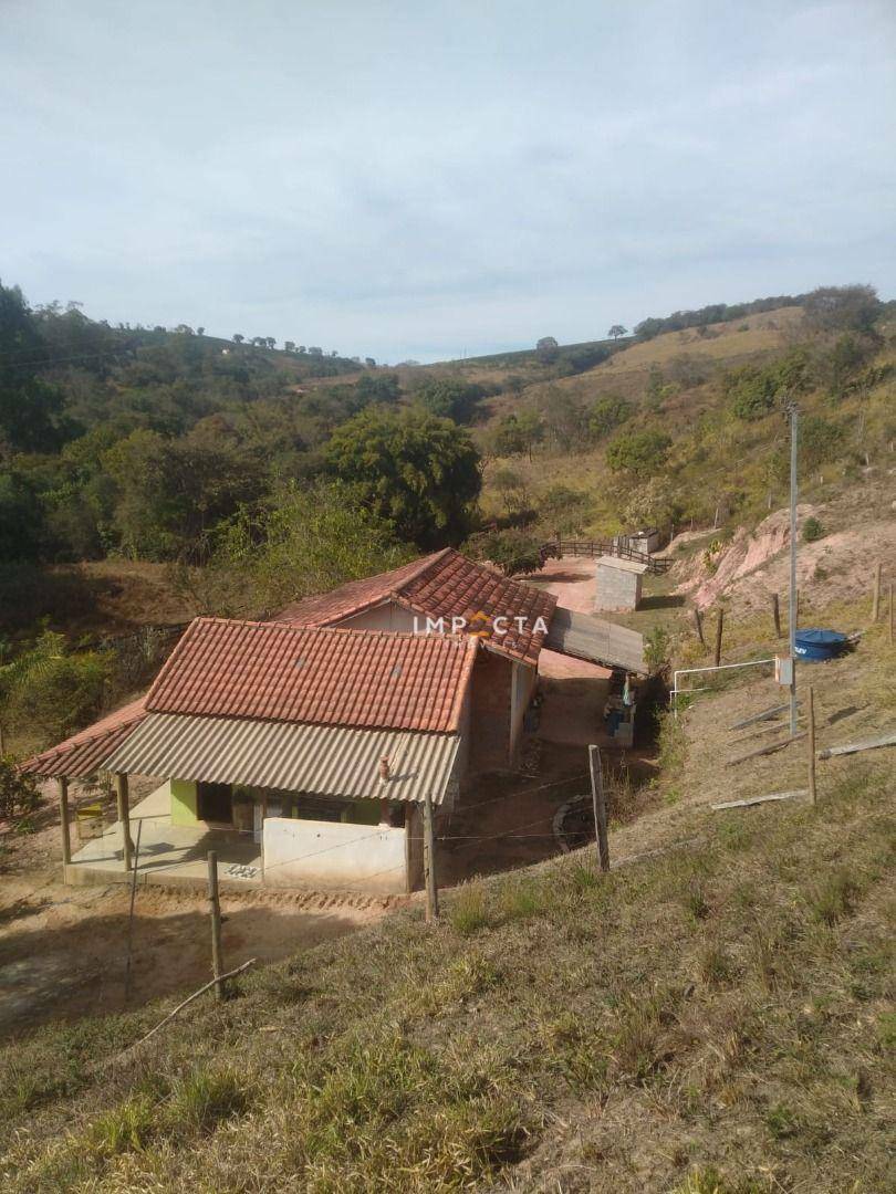 Chácara à venda com 2 quartos, 12100M2 - Foto 33