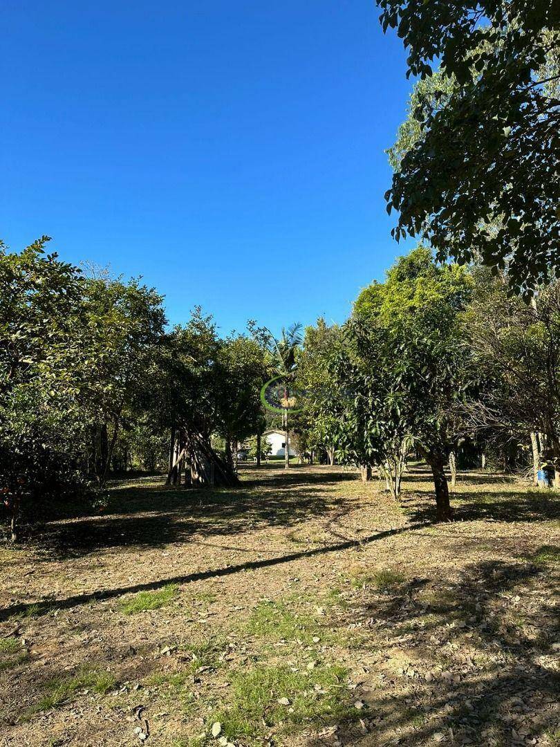 Chácara à venda com 3 quartos, 5000M2 - Foto 6