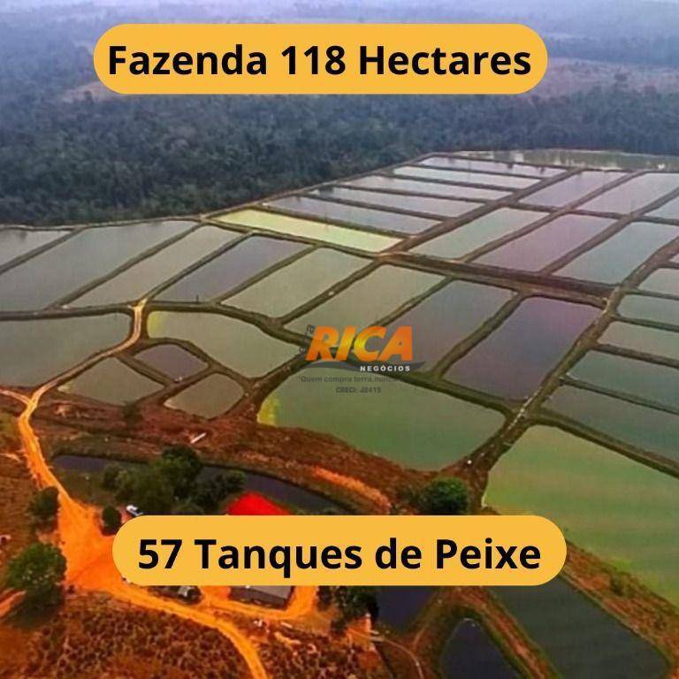 Fazenda-Sítio-Chácara, 118 hectares - Foto 1