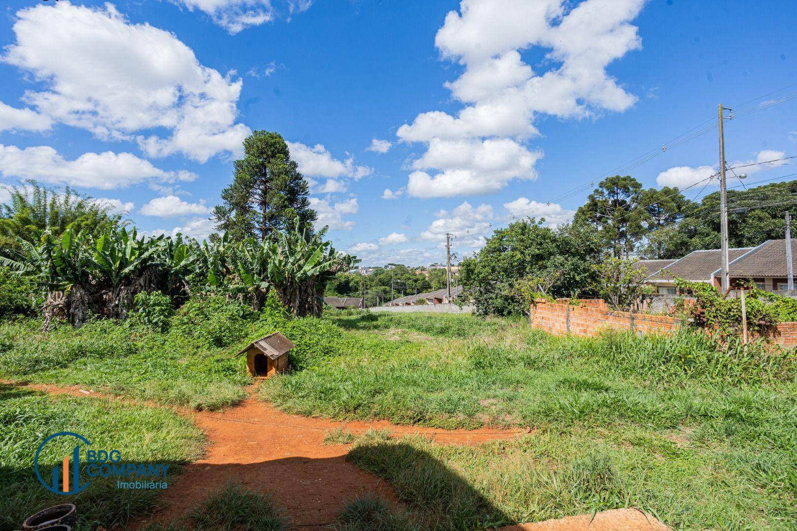 Terreno, 6264 m² - Foto 14