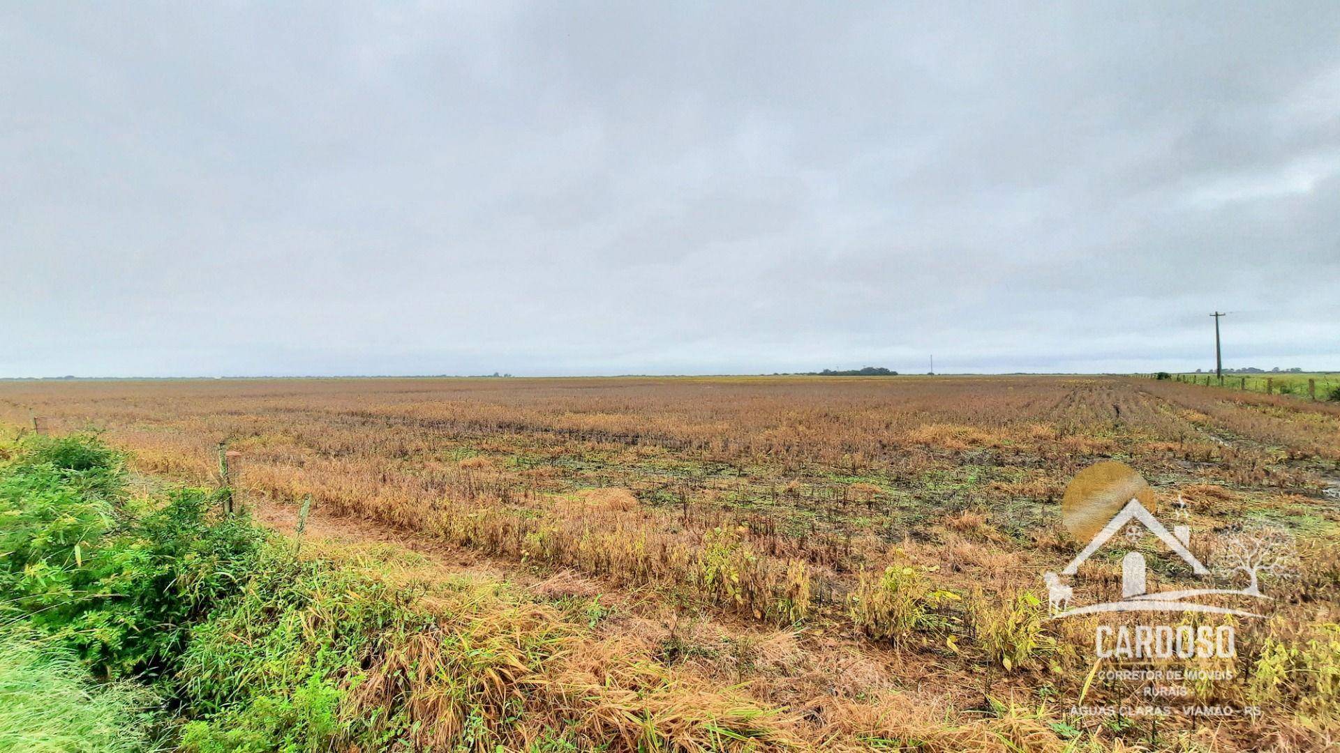 Fazenda à venda, 1830000M2 - Foto 5