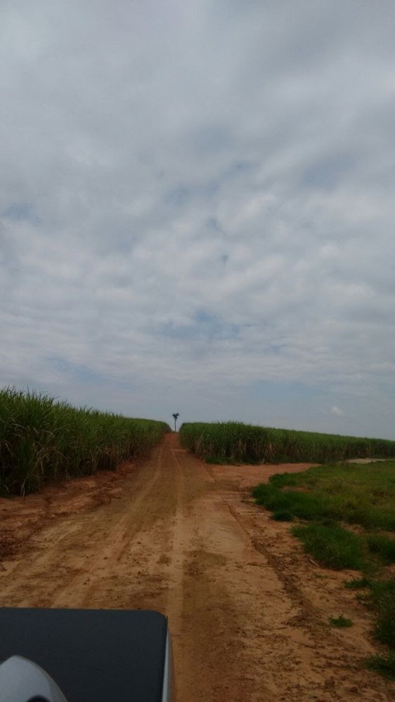 Fazenda à venda, 1275m² - Foto 7