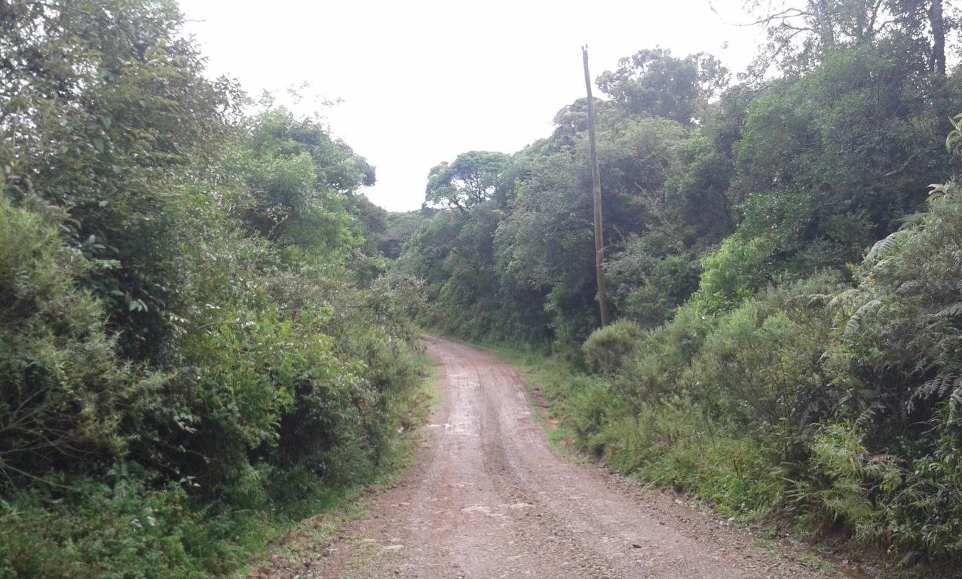 Terreno à venda, 1600m² - Foto 4