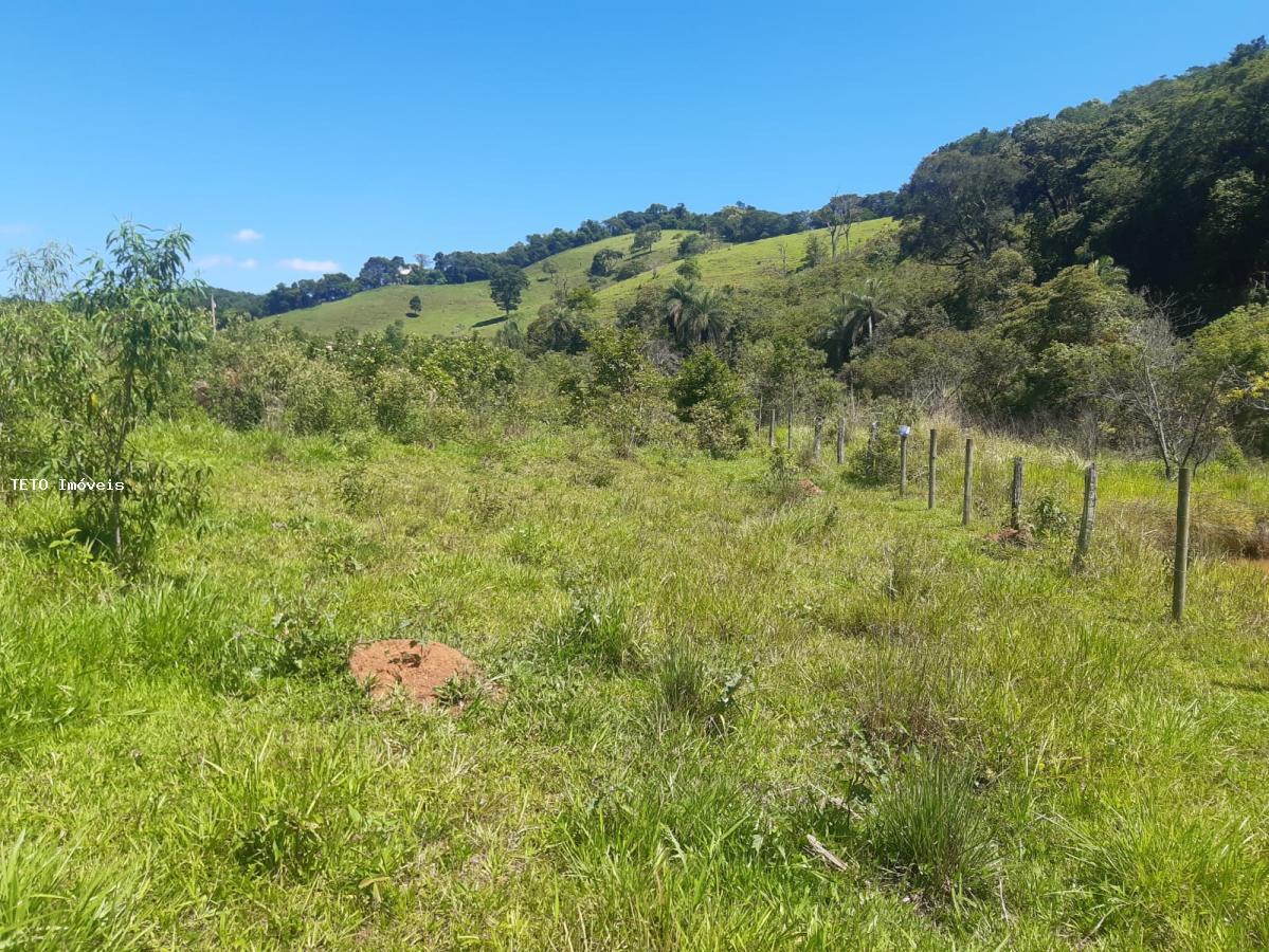 Fazenda à venda com 2 quartos, 4m² - Foto 37