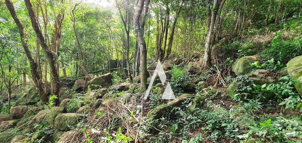 Terreno à venda, 25426M2 - Foto 10