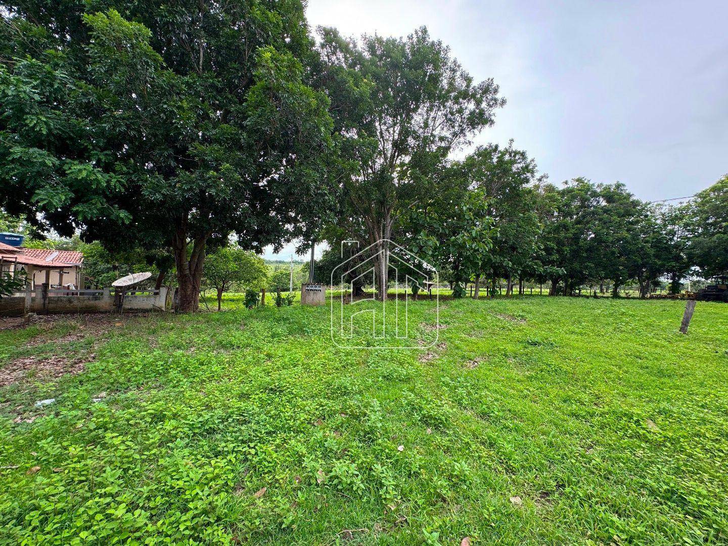 Fazenda à venda com 3 quartos, 26600000M2 - Foto 8