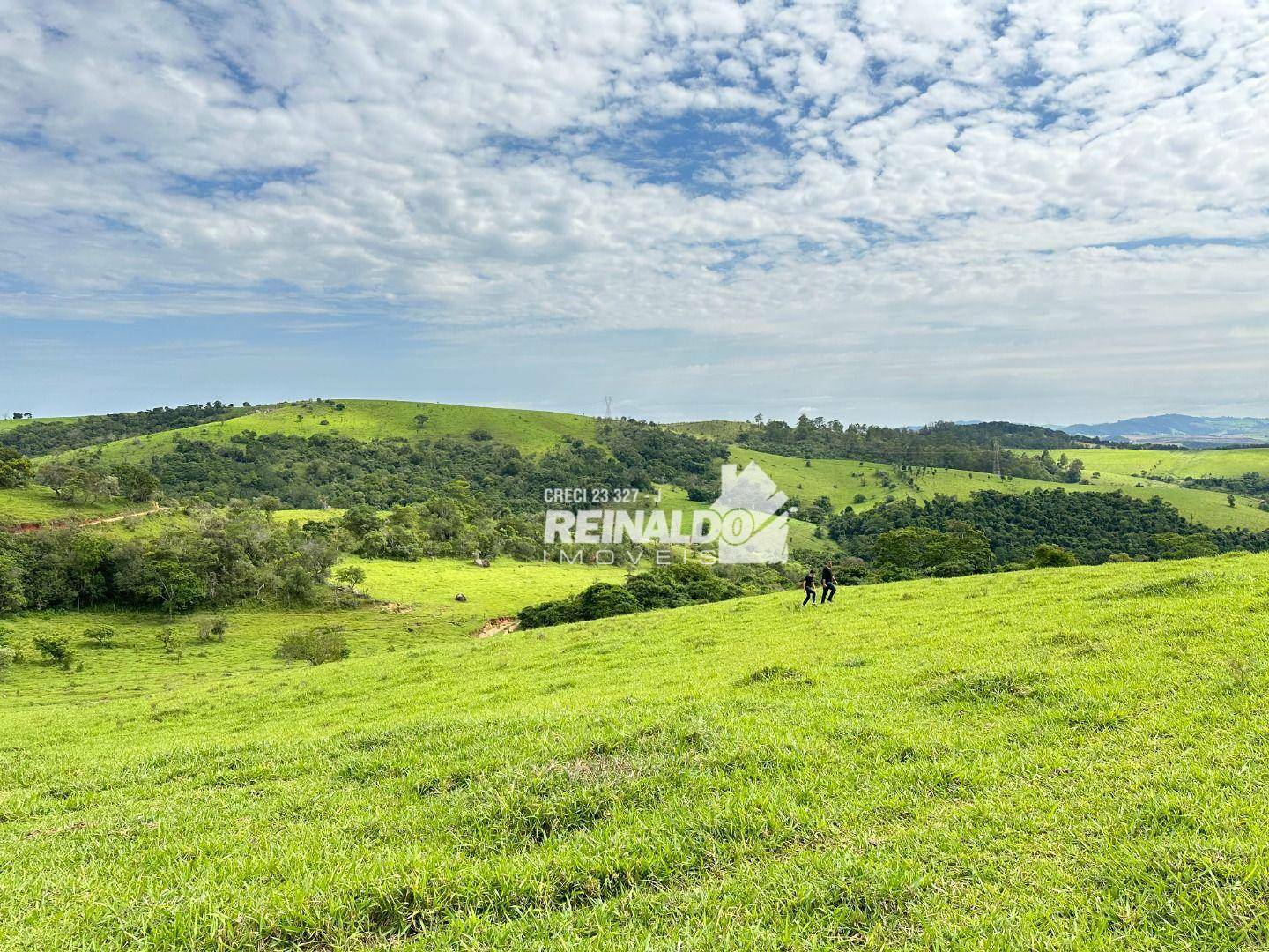 Fazenda à venda com 8 quartos, 950m² - Foto 16