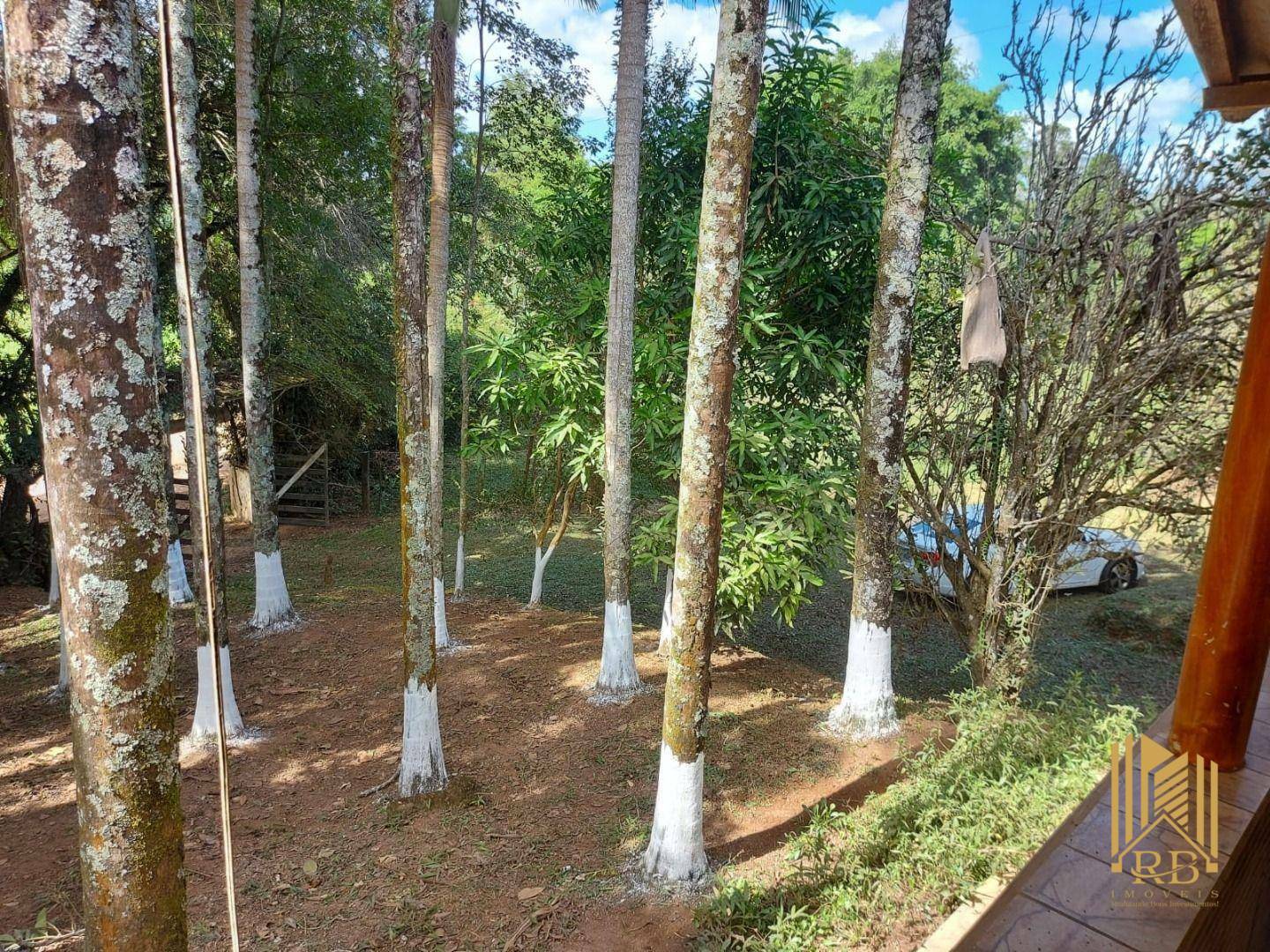 Chácara à venda com 2 quartos, 10500M2 - Foto 18