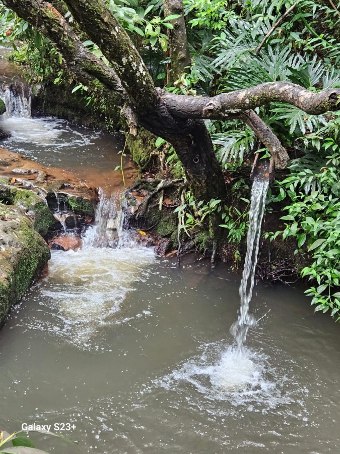 Terreno, 450 m² - Foto 17