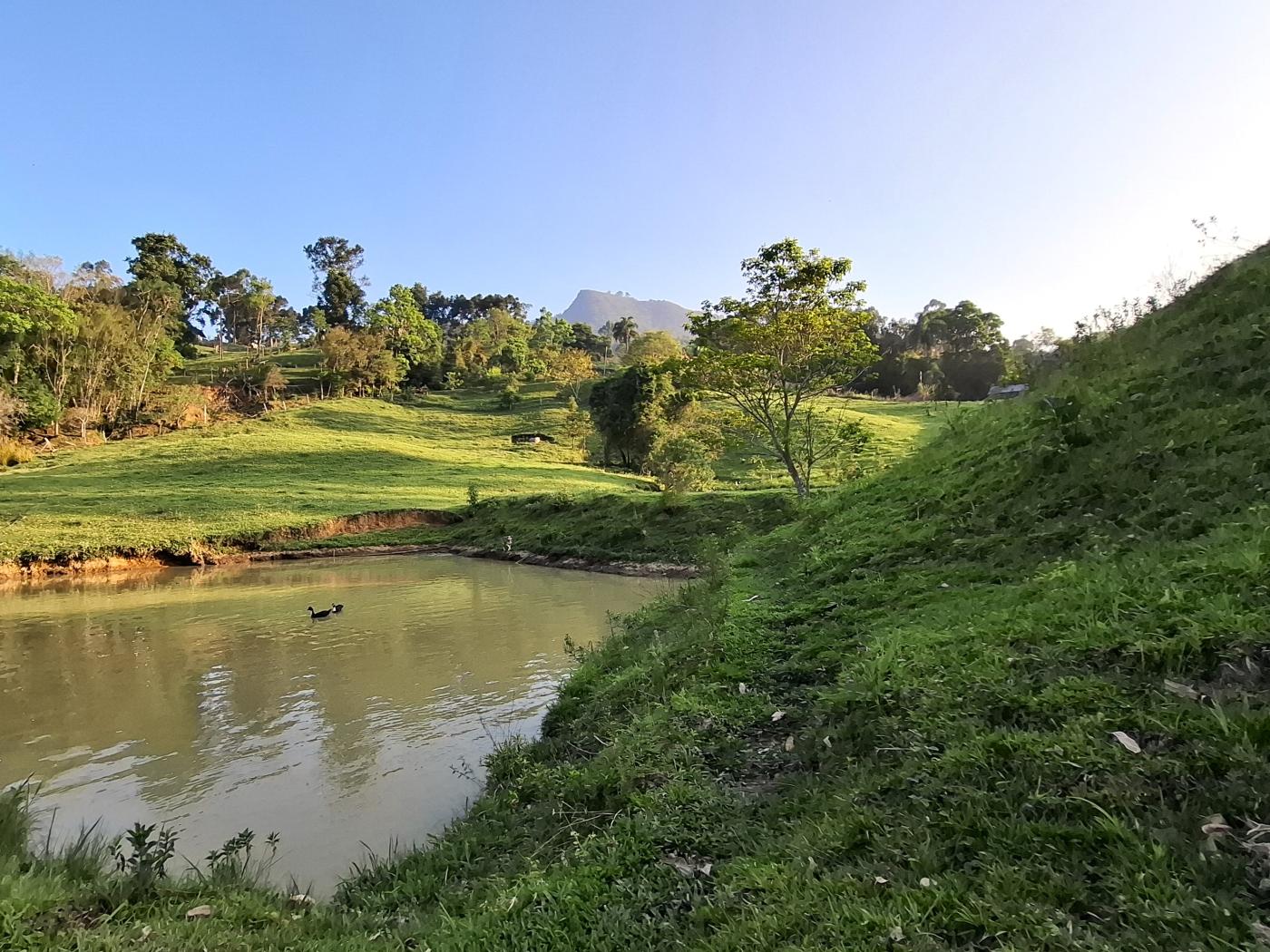 Fazenda à venda com 3 quartos, 90000m² - Foto 44