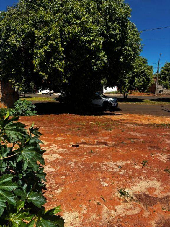 Terreno, 375 m² - Foto 2