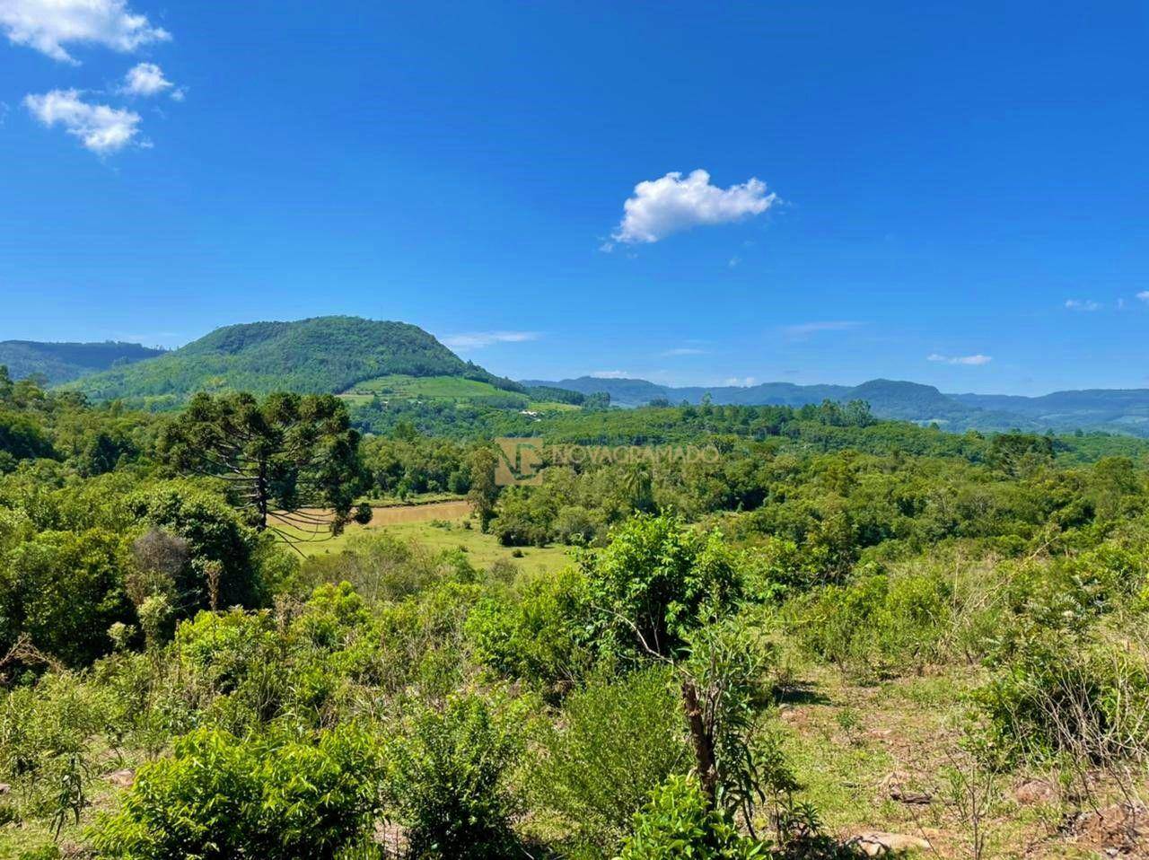 Sítio, 6 quartos, 45 hectares - Foto 9