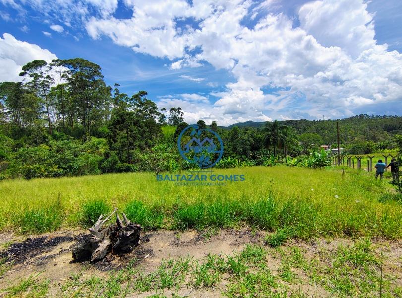 Fazenda à venda com 4 quartos, 10000m² - Foto 21