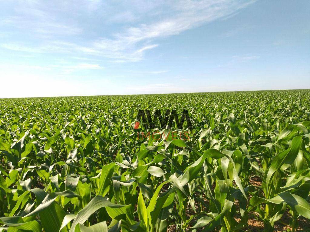 Fazenda à venda, 48450000M2 - Foto 2