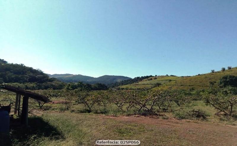 Fazenda à venda com 4 quartos, 120000m² - Foto 18