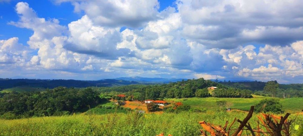 Fazenda à venda, 20535m² - Foto 13