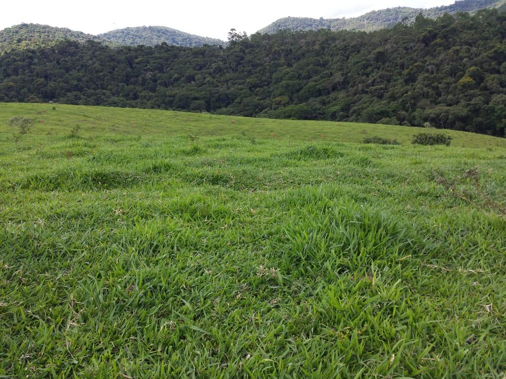 Fazenda à venda com 1 quarto, 120m² - Foto 13