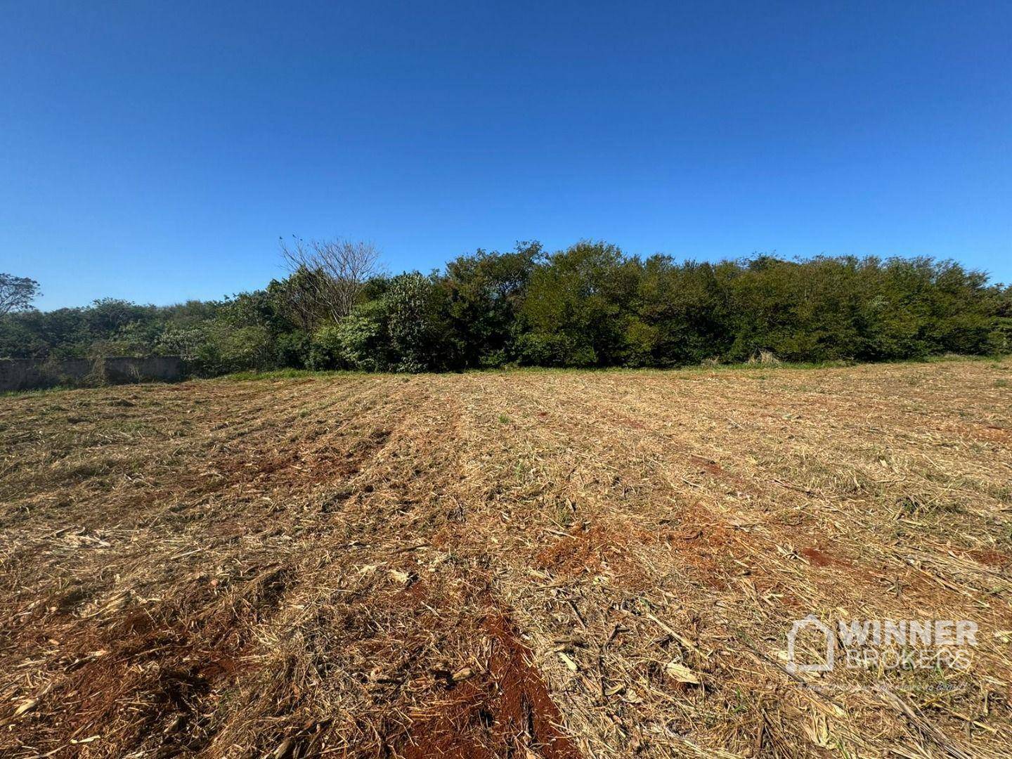 Terreno à venda, 5000M2 - Foto 7