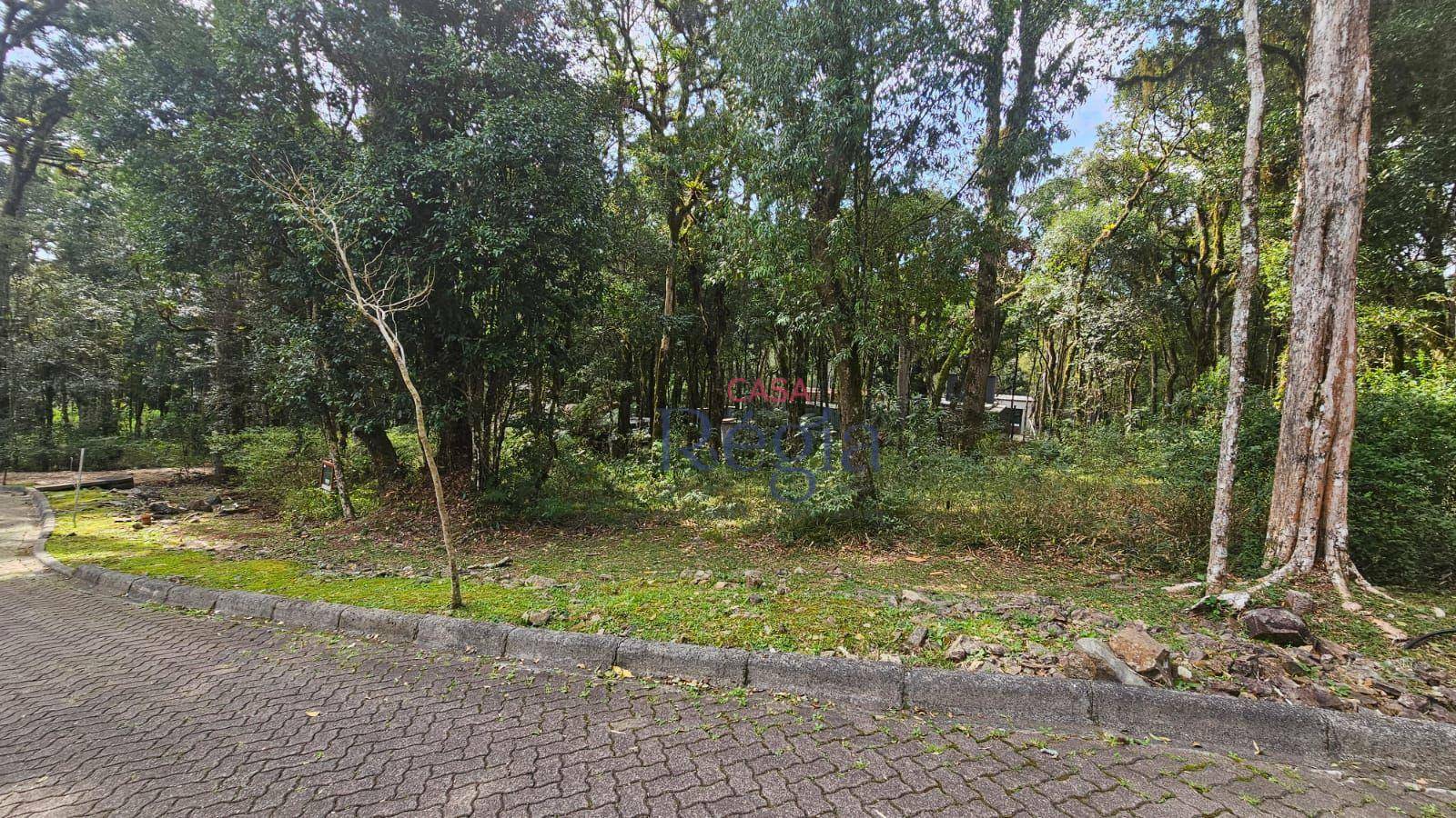 Loteamento e Condomínio à venda, 646M2 - Foto 4