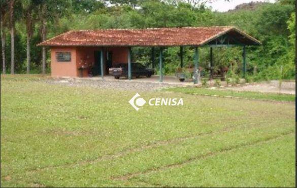 Sítio à venda com 11 quartos, 156000M2 - Foto 27