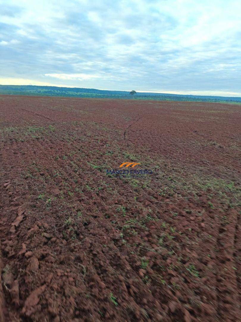 Fazenda à venda, 5420000M2 - Foto 8