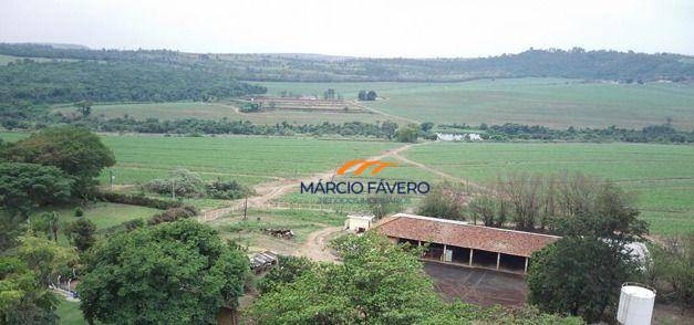 Fazenda, 390 hectares - Foto 6